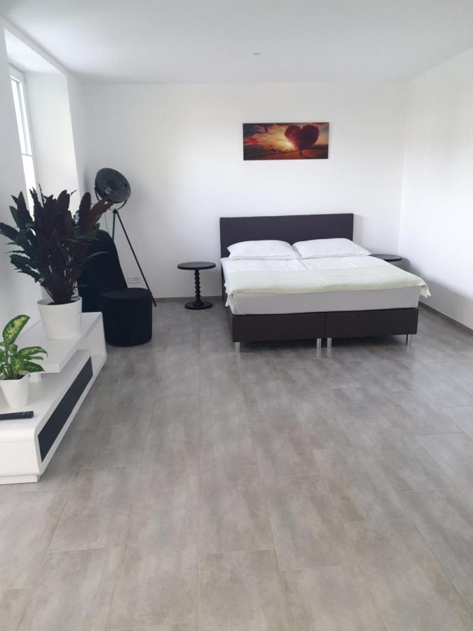 Business Apartment Turgi Eksteriør billede